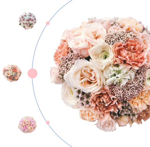 bg_web-no-background